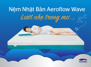 004bcc421322f67caf33 300x221 1