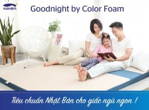 291cf4c926a9c3f79ab8 300x221 1