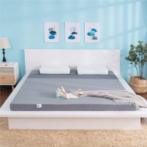 Nem Massage Nhat Ban Goodnight Osaka